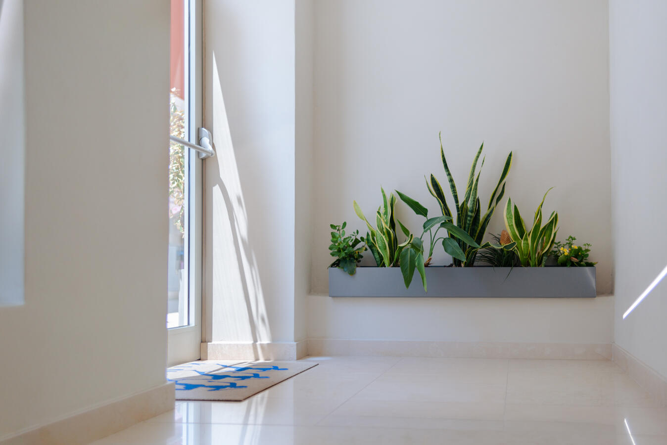 kinesis fit lab policoro